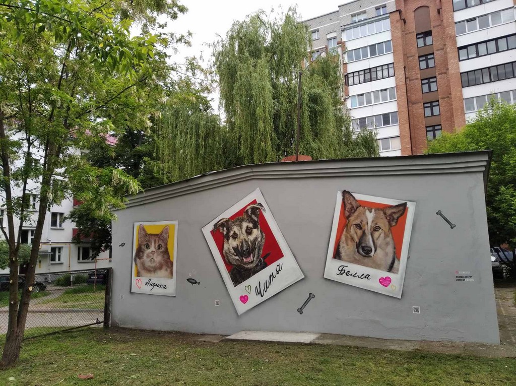 pet 1 20 003