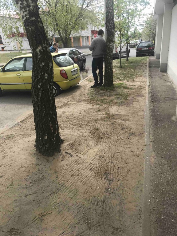 Субботник 20 00001